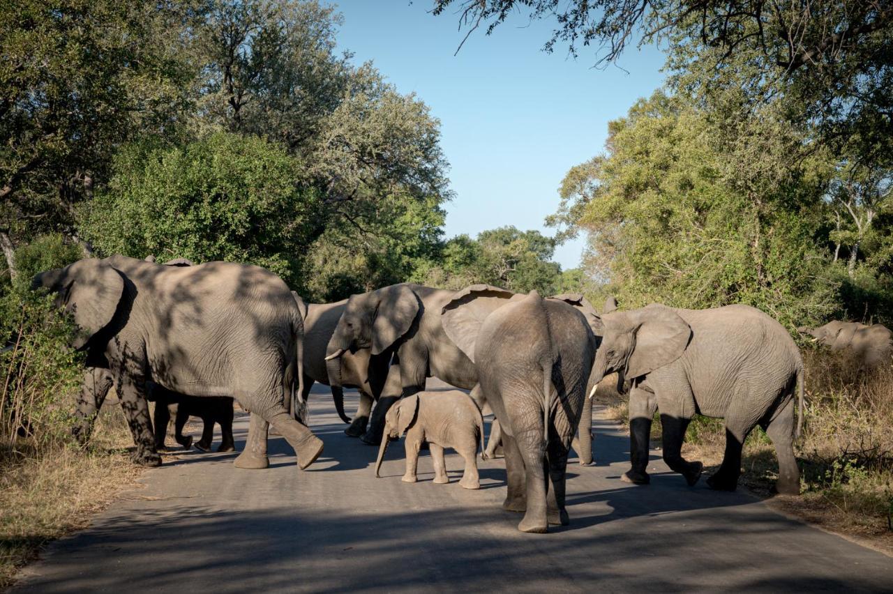 Nkuhlu Tented Camp Skukuza Εξωτερικό φωτογραφία