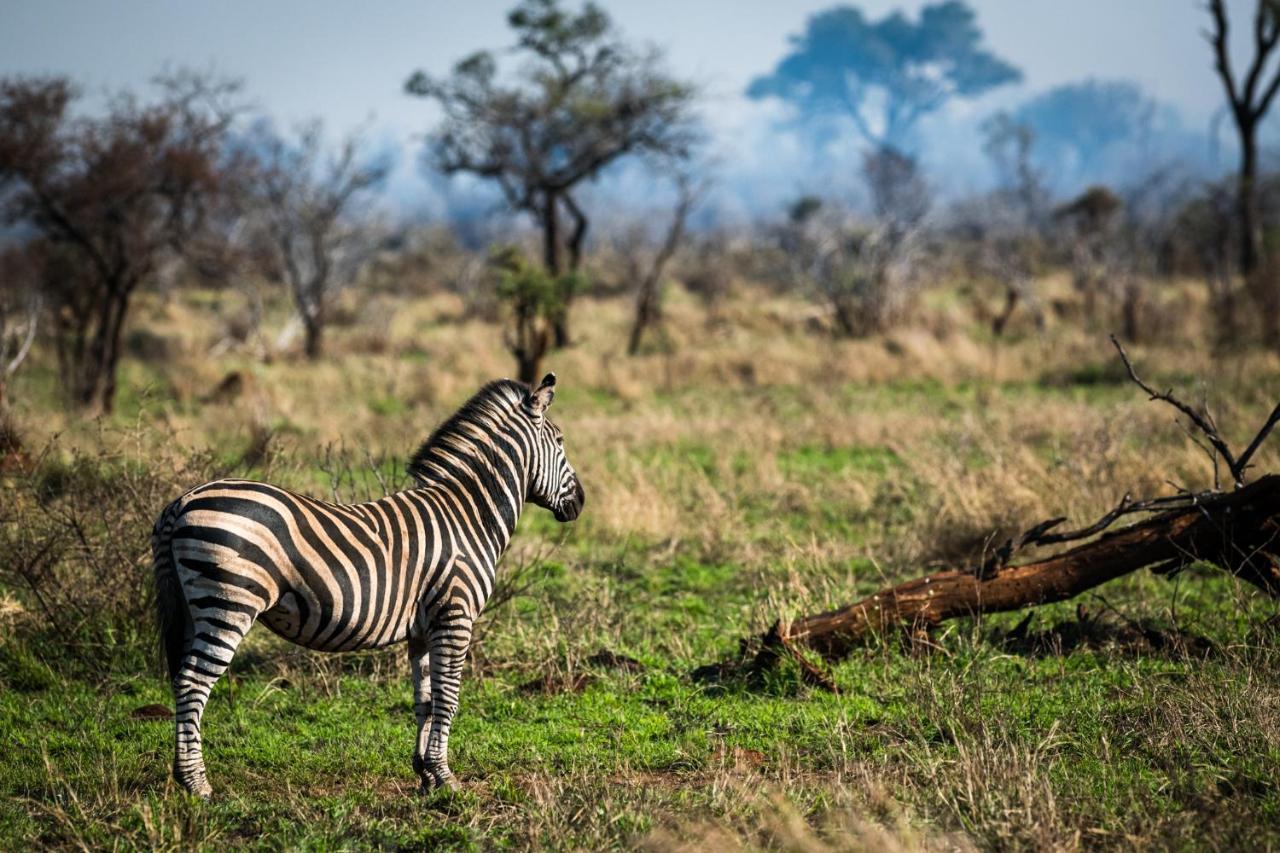 Nkuhlu Tented Camp Skukuza Εξωτερικό φωτογραφία