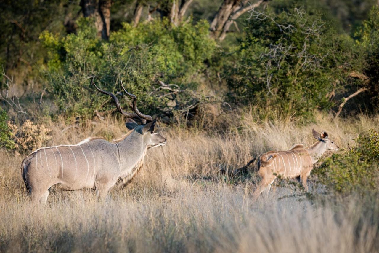 Nkuhlu Tented Camp Skukuza Εξωτερικό φωτογραφία