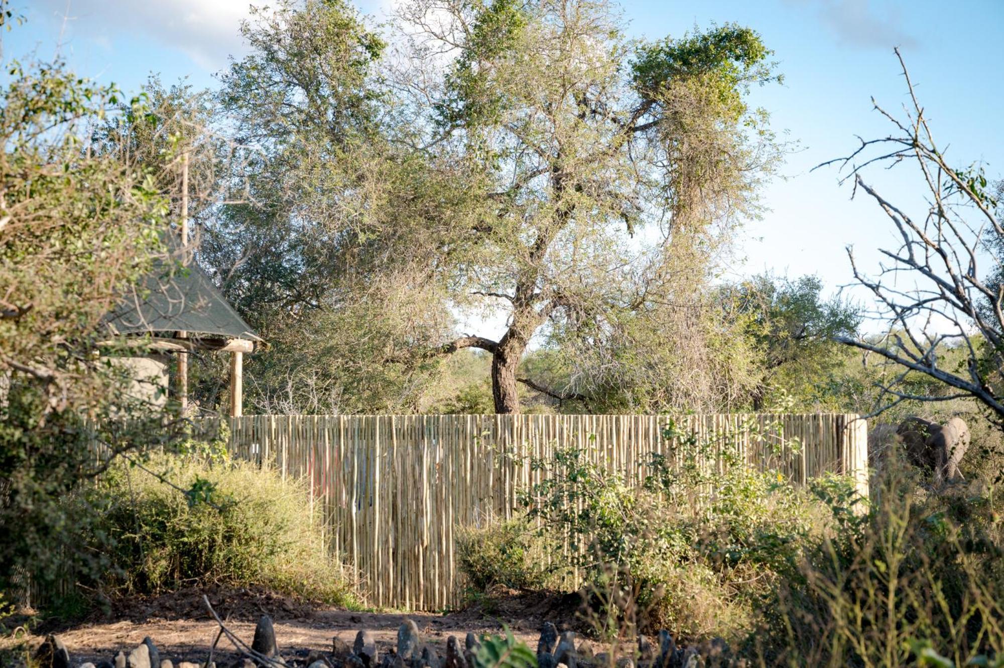 Nkuhlu Tented Camp Skukuza Εξωτερικό φωτογραφία