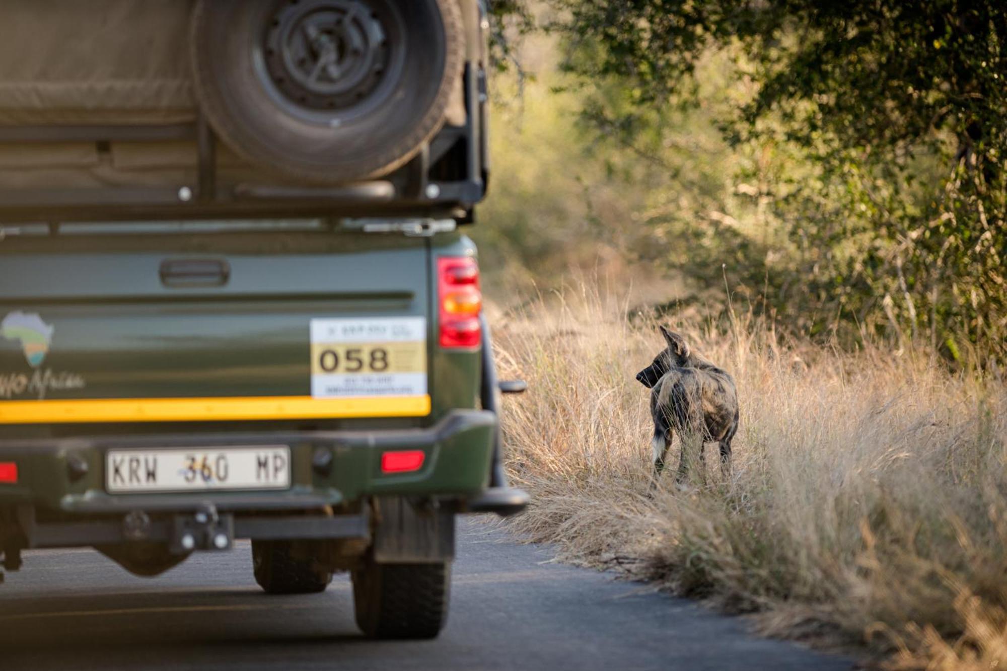 Nkuhlu Tented Camp Skukuza Εξωτερικό φωτογραφία